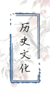 ��ʷ�Ļ�